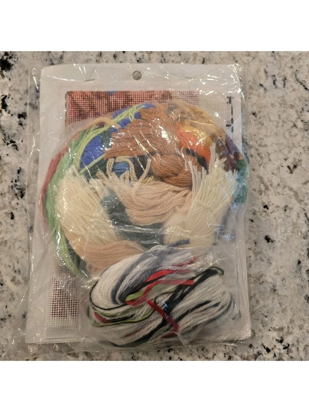 Bucilla A Christmas Morning Needlepoint Stocking Kit  60736 NOS 1996 Rare